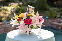 The Cultured Event - Photo 4 - Car repair in Sebastopol, CA, Santa Rosa