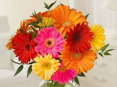 Israel florist - Israelflora.com Flowers