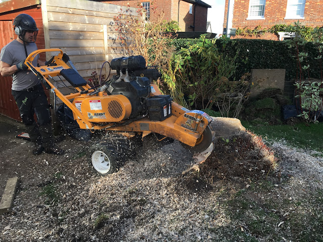 Reviews of TreeCycle Tree Care in Maidstone - Landscaper