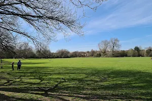 Knowle Park image