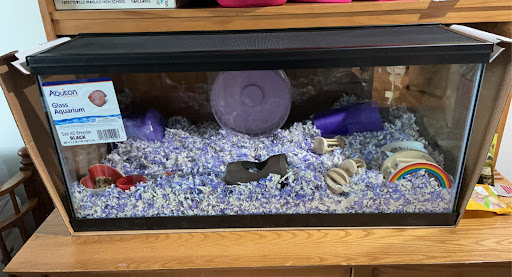 Pet Supply Store «PetSmart», reviews and photos, 3401 Erie Blvd E, Syracuse, NY 13214, USA