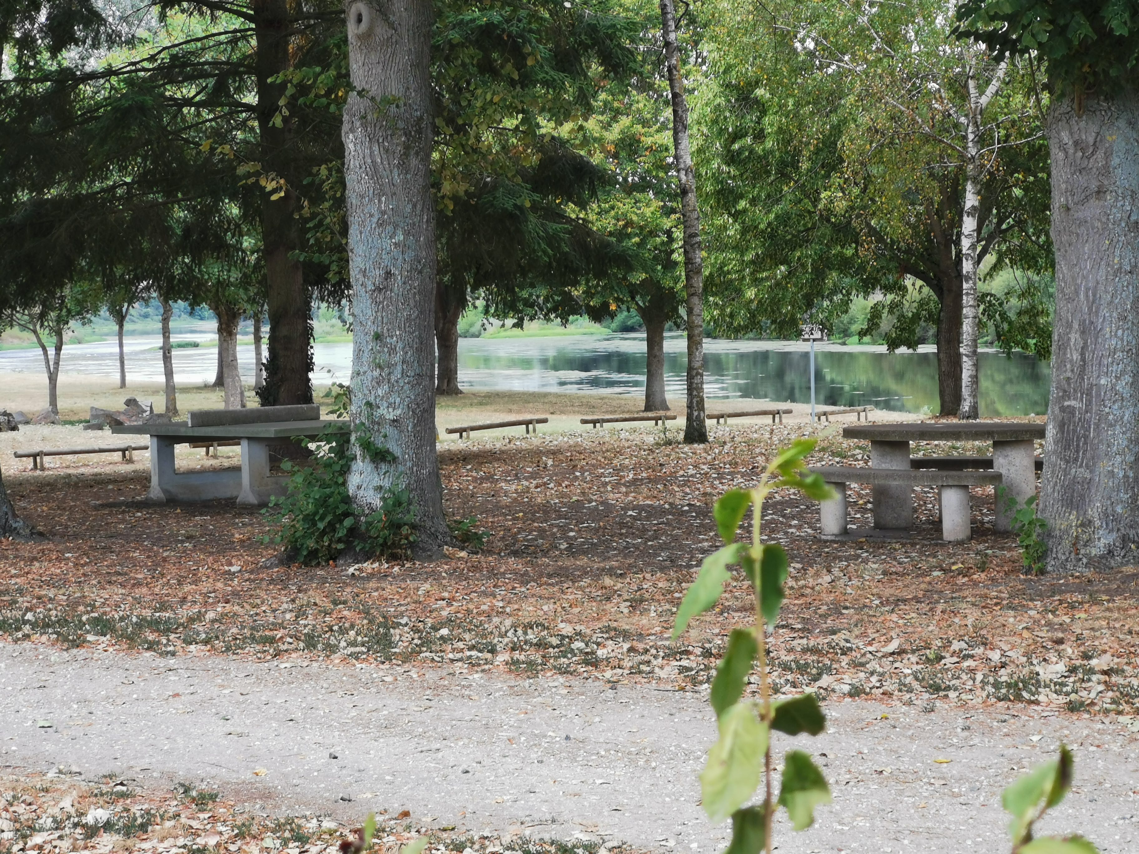 Photo n° 1 de l'avis de domenico.o fait le 26/09/2020 à 21:57