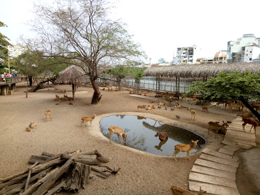 Saigon Zoo And Botanical Garden