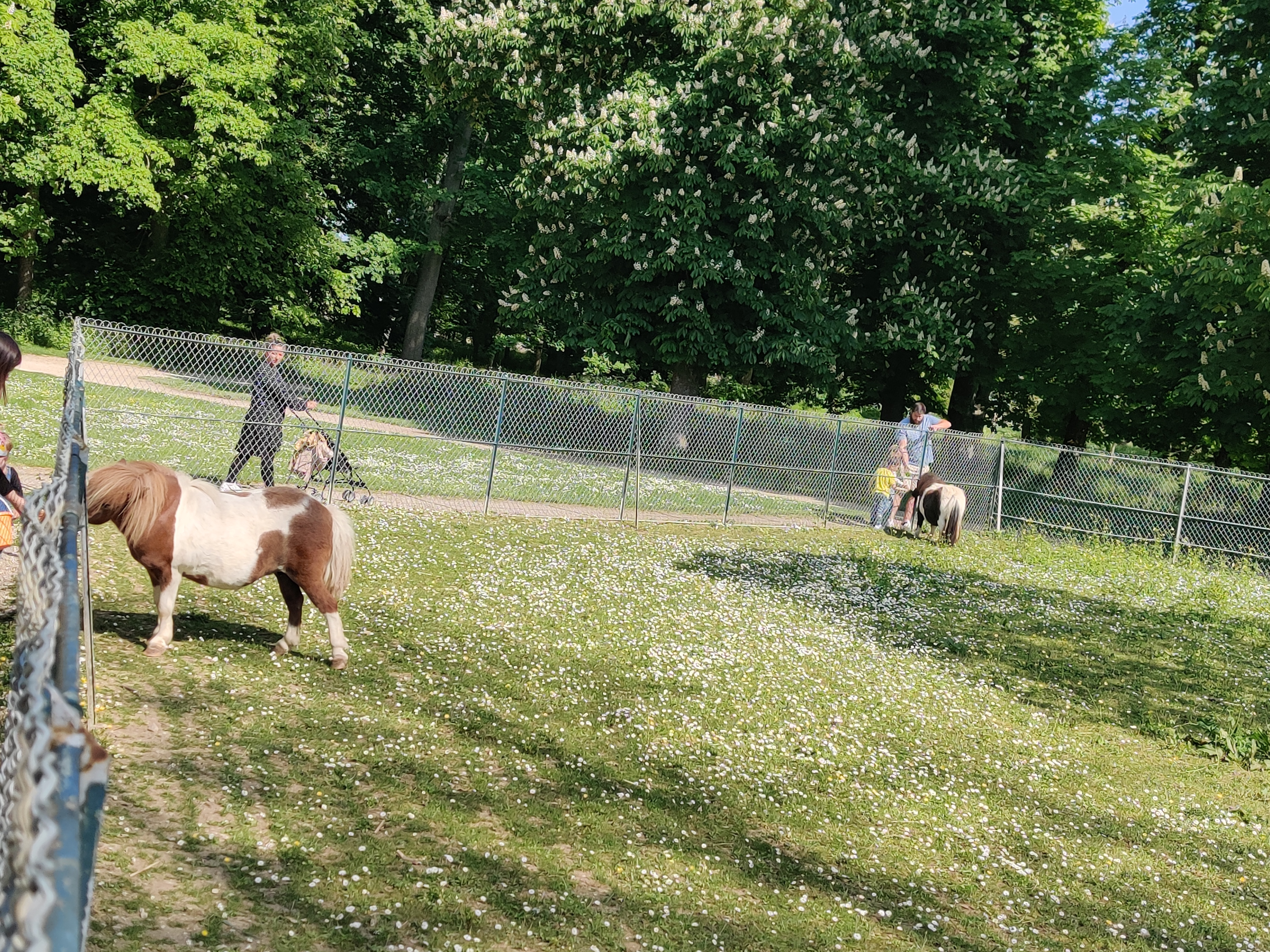 Photo n° 2 de l'avis de Carole.r fait le 01/05/2022 à 15:15