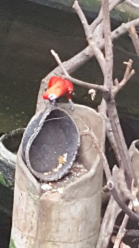 Zoo «Wild Kingdom Pavilion», reviews and photos, 3701 S 10th St, Omaha, NE 68108, USA