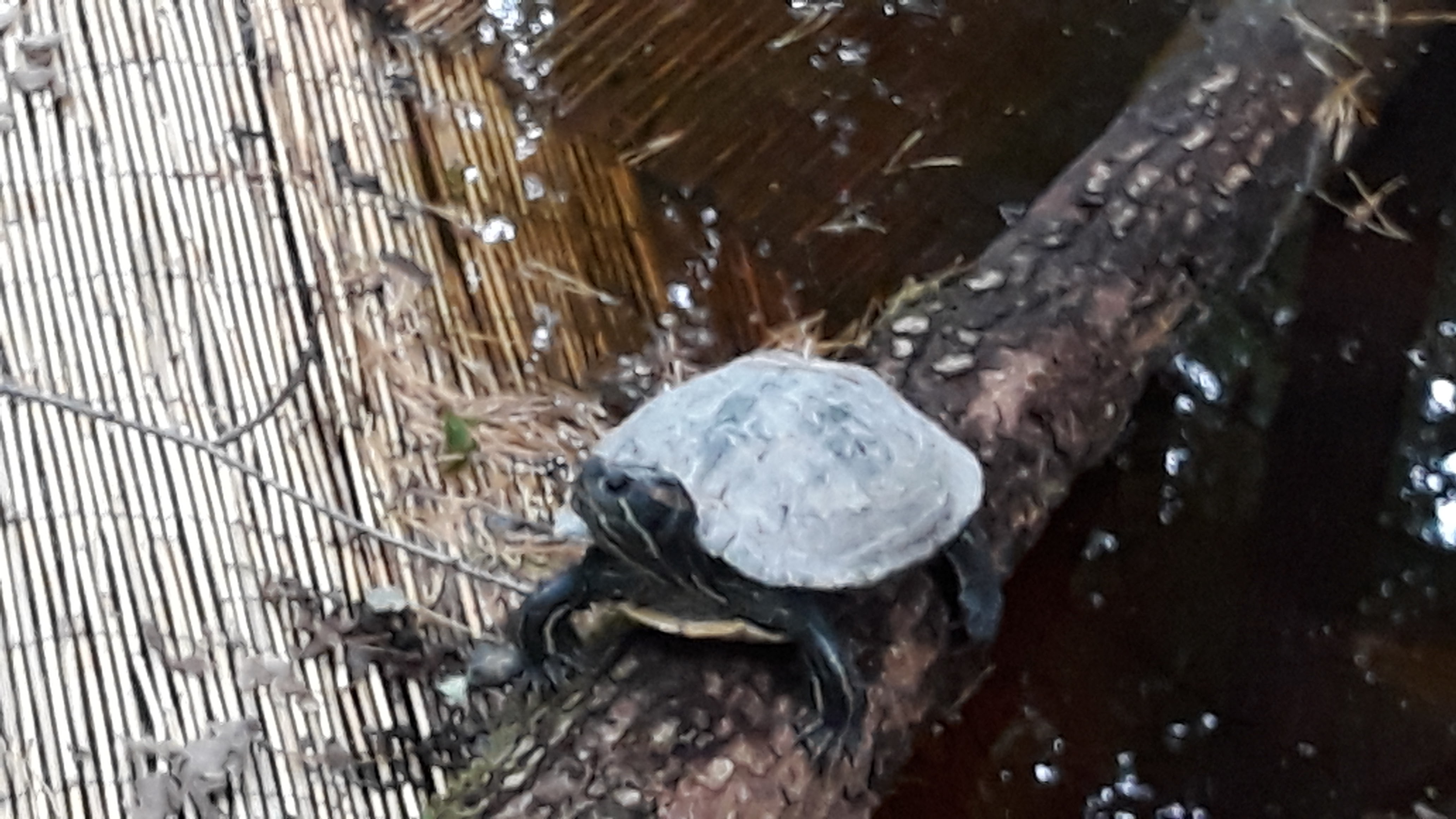 Photo n° 2 de l'avis de Carole.u fait le 17/08/2019 à 06:49