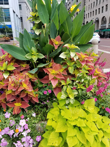 Monument «Soldiers and Sailors Monument», reviews and photos, 1 Monument Cir, Indianapolis, IN 46204, USA