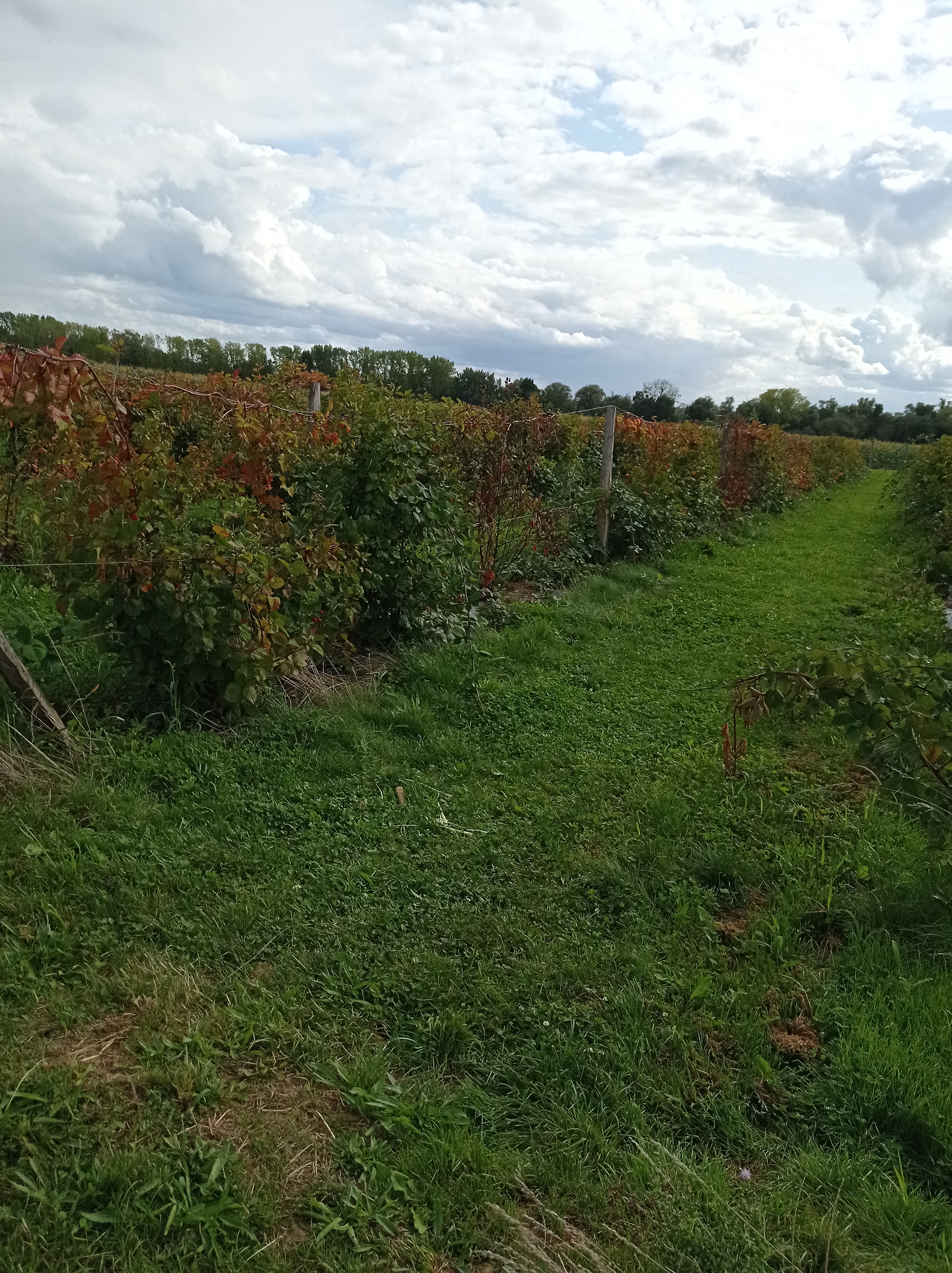 Photo n° 30 de l'avis de alexandre.u fait le 27/08/2023 à 13:21