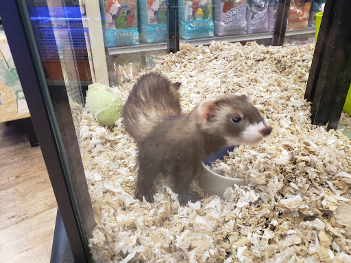 Pet Store «Ark Pet Shop», reviews and photos, 2400 W Lincoln Hwy, Merrillville, IN 46410, USA