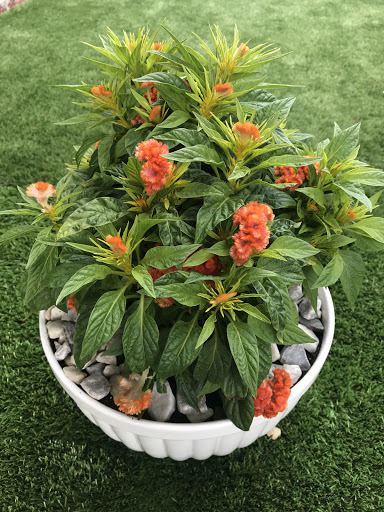 Home Improvement Store «The Home Depot», reviews and photos, 177 Willard St, Quincy, MA 02169, USA