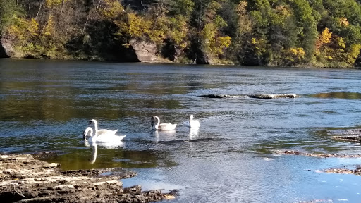 Tourist Attraction «Dinosaur Footprints», reviews and photos, US-5, Holyoke, MA 01040, USA