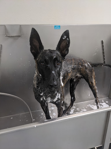 Pet Supply Store «Centinela Feed & Pet Supplies», reviews and photos, 11055 W Pico Blvd, Los Angeles, CA 90064, USA