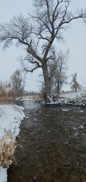 Evans Park - photo 19