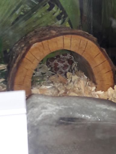 Pet Supply Store «PetSmart», reviews and photos, 533 S Broad St, Meriden, CT 06450, USA