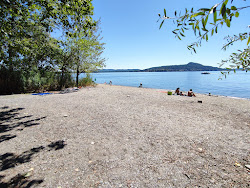 Foto di Spiaggia Libera Lago Maggiore zona selvaggia