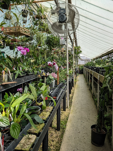 Florist «Little Brook Orchids», reviews and photos, 25 Rider Ave, Lancaster, PA 17603, USA