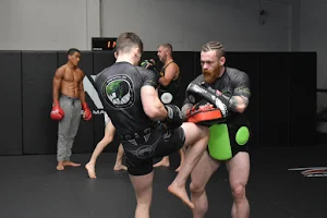 The Snake Pit - MMA image