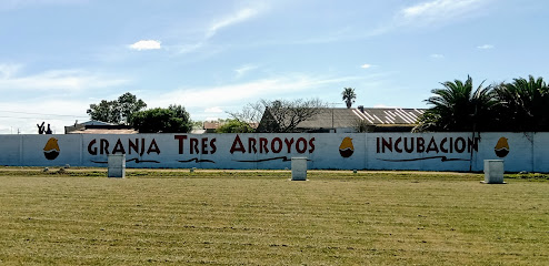 Granja Tres Arroyos Uruguay - Incubación