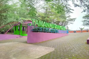 Taman Hutan Kota Cigembor image