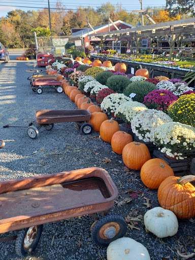 Garden Center «Nalls Produce», reviews and photos, 7310 Beulah St, Alexandria, VA 22315, USA