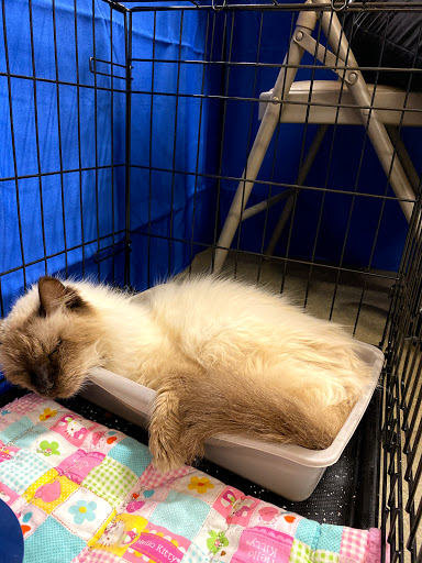 Pet Supply Store «PetSmart», reviews and photos, 225 Robert C Daniel Jr Pkwy, Augusta, GA 30909, USA