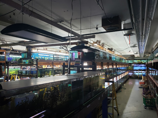 Pet Store «Forest Lake Pets», reviews and photos, 120 Lake St N, Forest Lake, MN 55025, USA