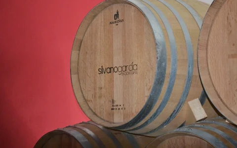 SILVANO GARCÍA WINERY image