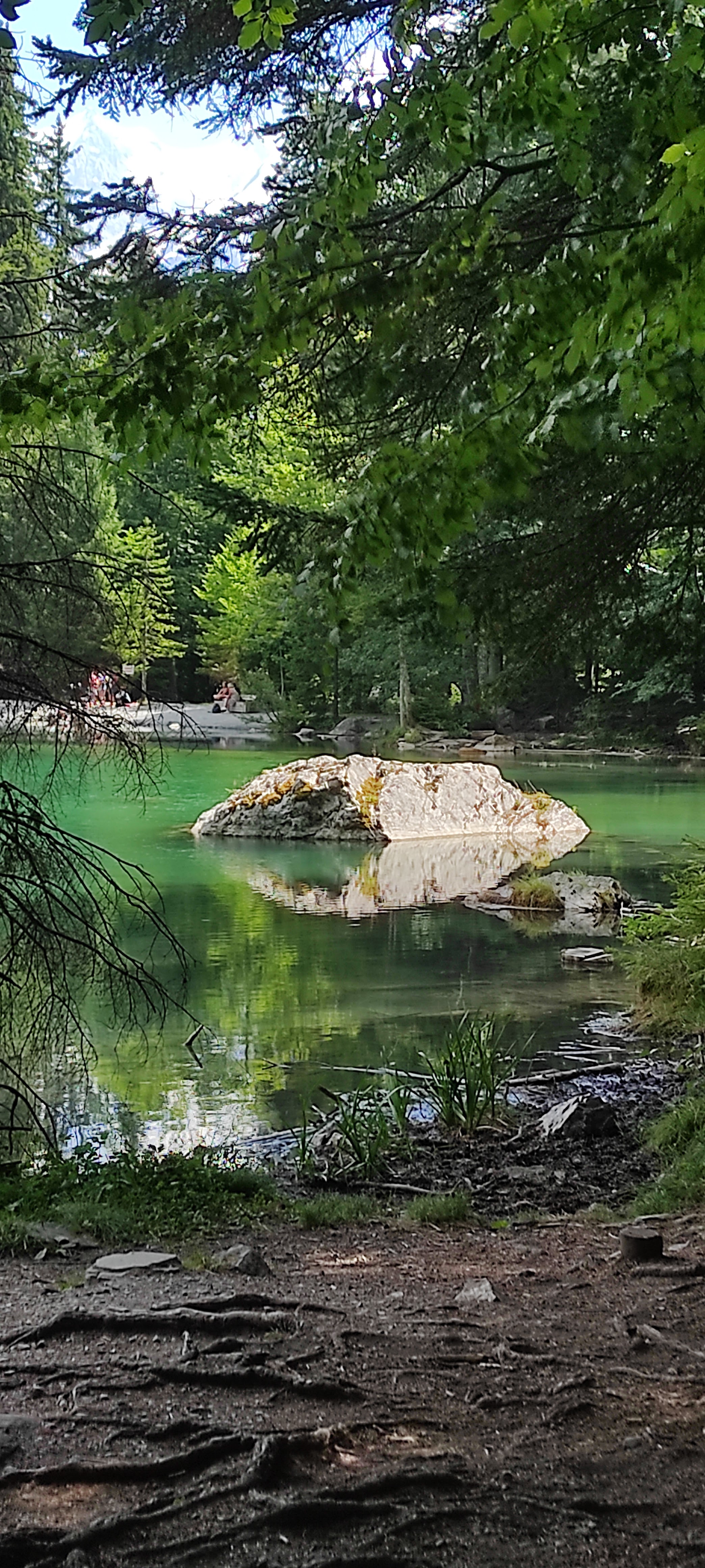 Photo n° 4 de l'avis de Cécilia.� fait le 11/08/2022 à 13:14