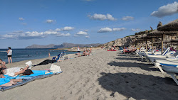 Platja de Son Baulo'in fotoğrafı - rahatlamayı sevenler arasında popüler bir yer