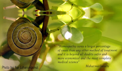 Serenity Homeopathic Clinic