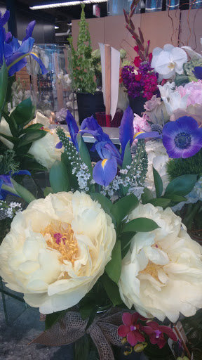 Performing Arts Theater «Miller Outdoor Theatre», reviews and photos, 6000 Hermann Park Dr, Houston, TX 77030, USA