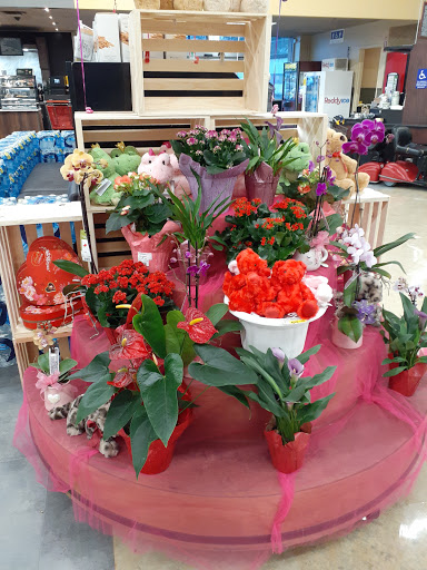 Grocery Store «Safeway», reviews and photos, 900 N Callow Ave, Bremerton, WA 98312, USA