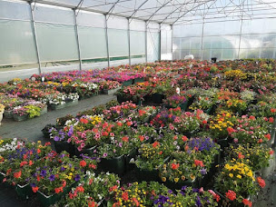 Photo n°2 de Les Serres de Pontigou à Guiclan ()