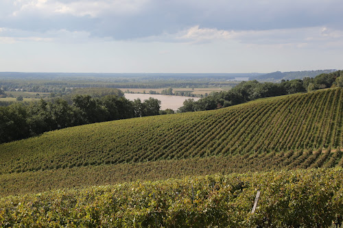 Vignobles Gonfrier à Lestiac-sur-Garonne