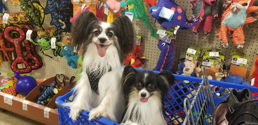 Pet Supply Store «PetSmart», reviews and photos, 6001 Wesley Grove Blvd, Wesley Chapel, FL 33544, USA