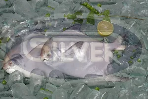 Silver Sea Food image