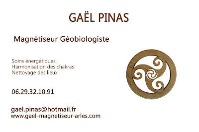 Gaël Pinas Magnétiseur Géobiologue à Arles