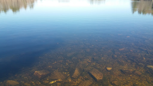 State Park «Borderland State Park», reviews and photos, 259 Massapoag Ave, North Easton, MA 02356, USA