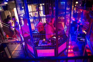 The Cage image