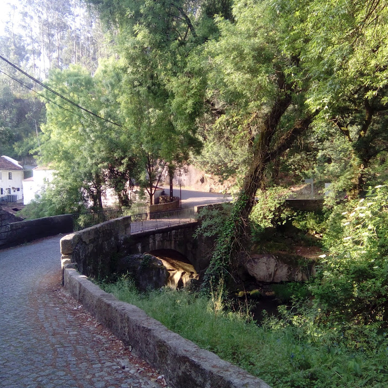 3 image