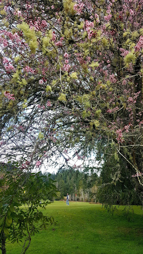 Golf Course «Cedar Bend Golf Course», reviews and photos, 34391 Cedar Valley Dr, Gold Beach, OR 97444, USA