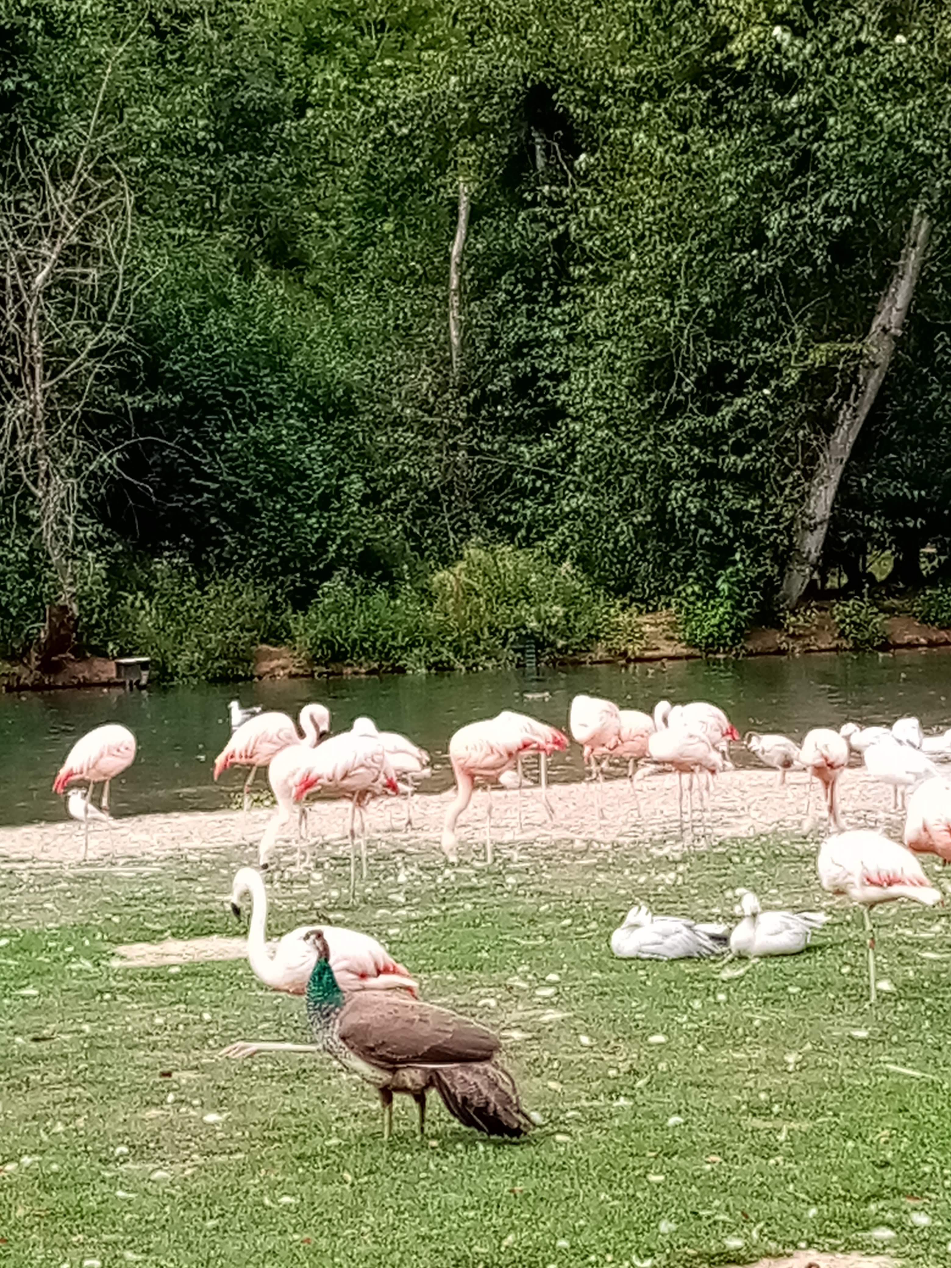 Photo n° 28 de l'avis de Marielaure.a fait le 25/07/2023 à 19:08