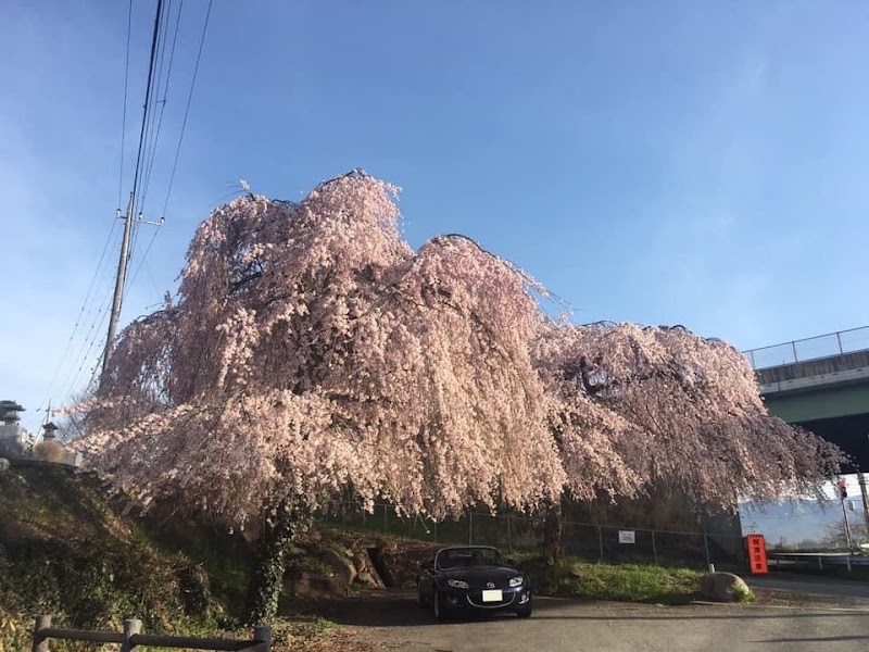 島崎城跡