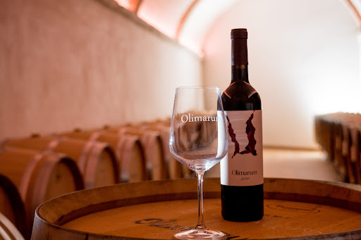 Bodegas Olimarum en Canalejas de Peñafiel