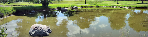 Public Golf Course «Cimarron Golf Course», reviews and photos, 901 Lake Elmo Ave N, Lake Elmo, MN 55042, USA