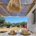 Photo n°1 de l'avis de Sílvia.a fait le 20/06/2023 à 22:26 sur le  Monte das Queijeiras à Monte dos Baldios dos Tojos