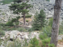 Gorges de la Restonica du Restaurant Bergeries de Grotelle à Corte - n°2