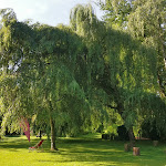 Photo n°1 de l'avis de D. fait le 08/07/2018 à 16:10 sur le  Hotel Kainsbacher Mühle à Happurg