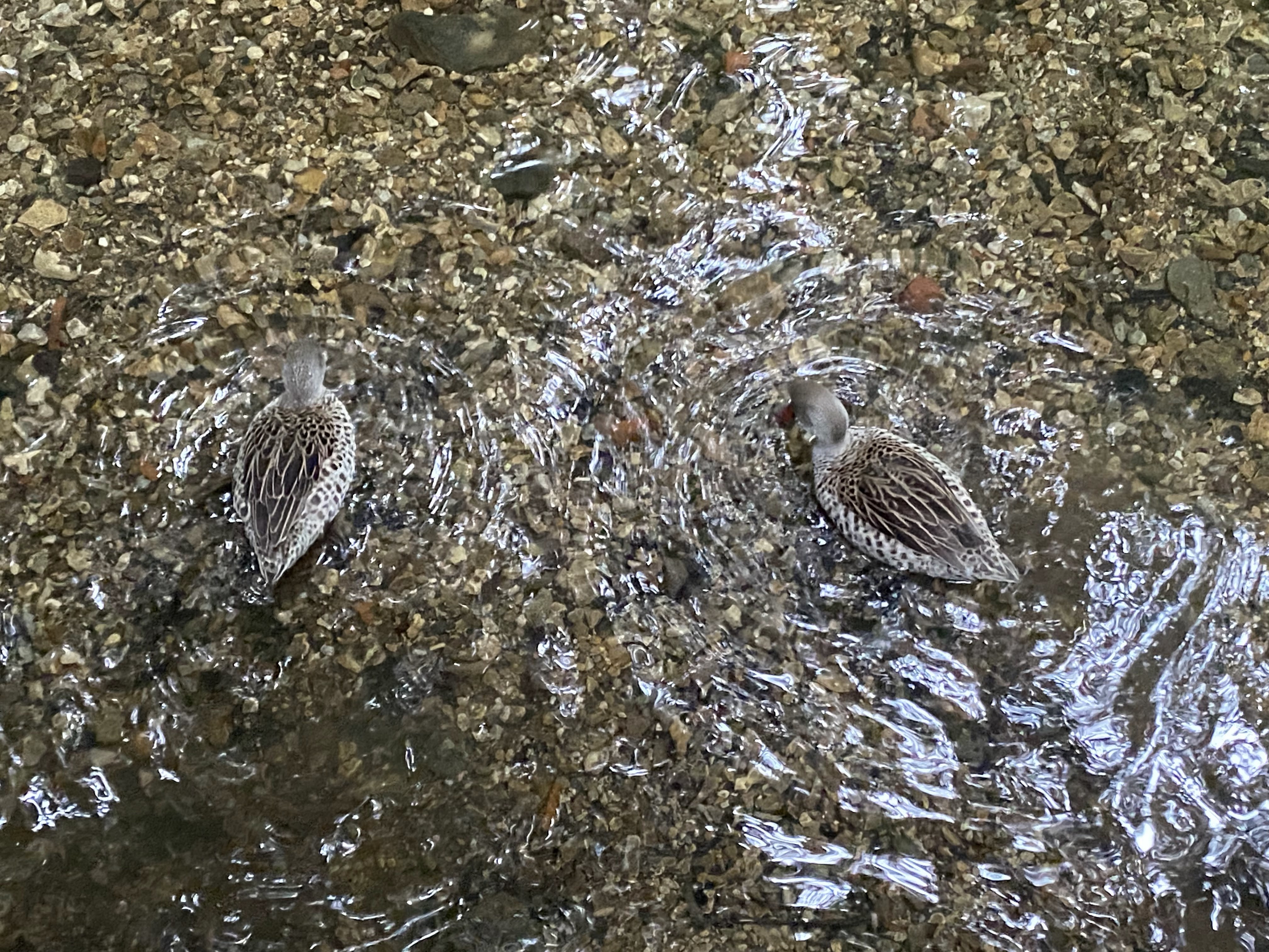 Photo n° 12 de l'avis de Mickael.e fait le 11/08/2023 à 05:54