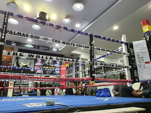 The White Collar Boxing Club